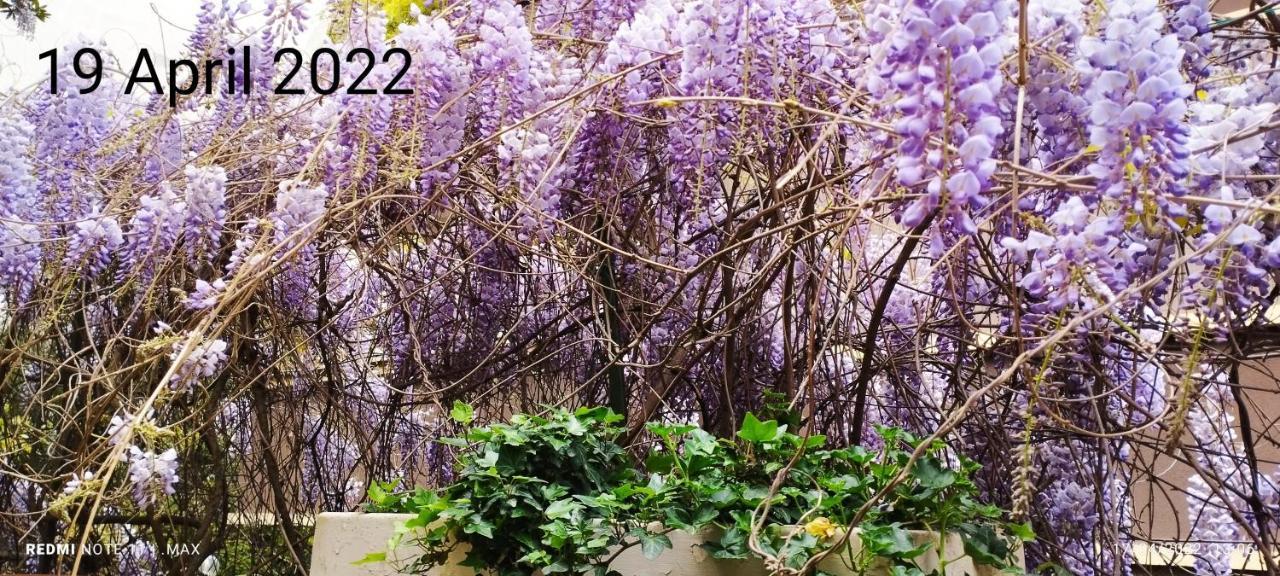 Garden House - Luxury Guest House - Overnight Stay Only Roma Eksteriør bilde